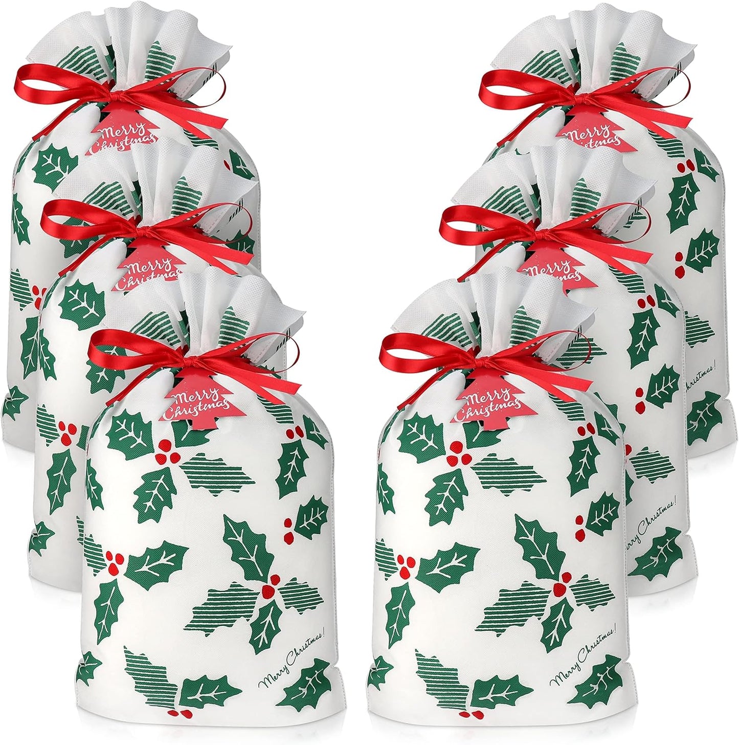 Gift Bag with Drawstring for Christmas (Pack of 6)