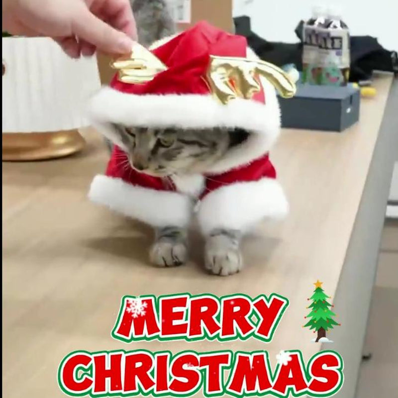 Soft Reindeer Pet Costume | Comfortable Christmas Holiday Outfit for Small, Medium, and Large Dogs & Cats