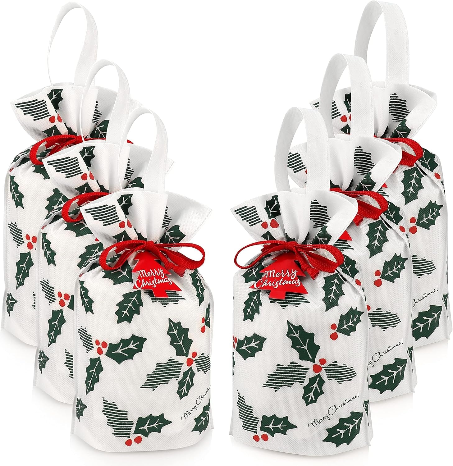 Gift Bag with Drawstring for Christmas (Pack of 6)