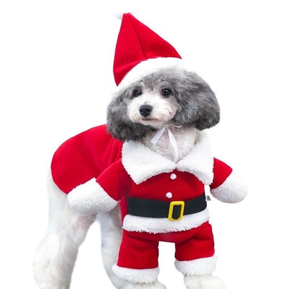 Santa Claus Christmas Pet Costume