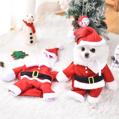 Santa Claus Christmas Pet Costume