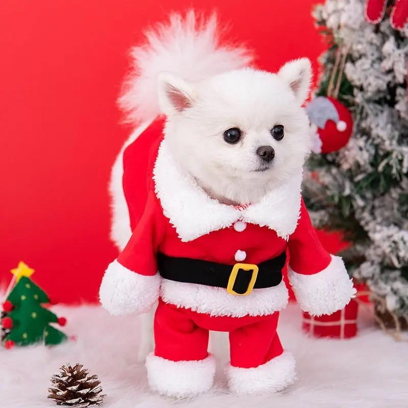 Santa Claus Christmas Pet Costume