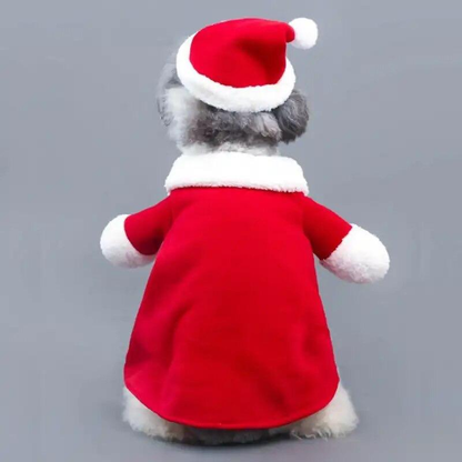 Santa Claus Christmas Pet Costume