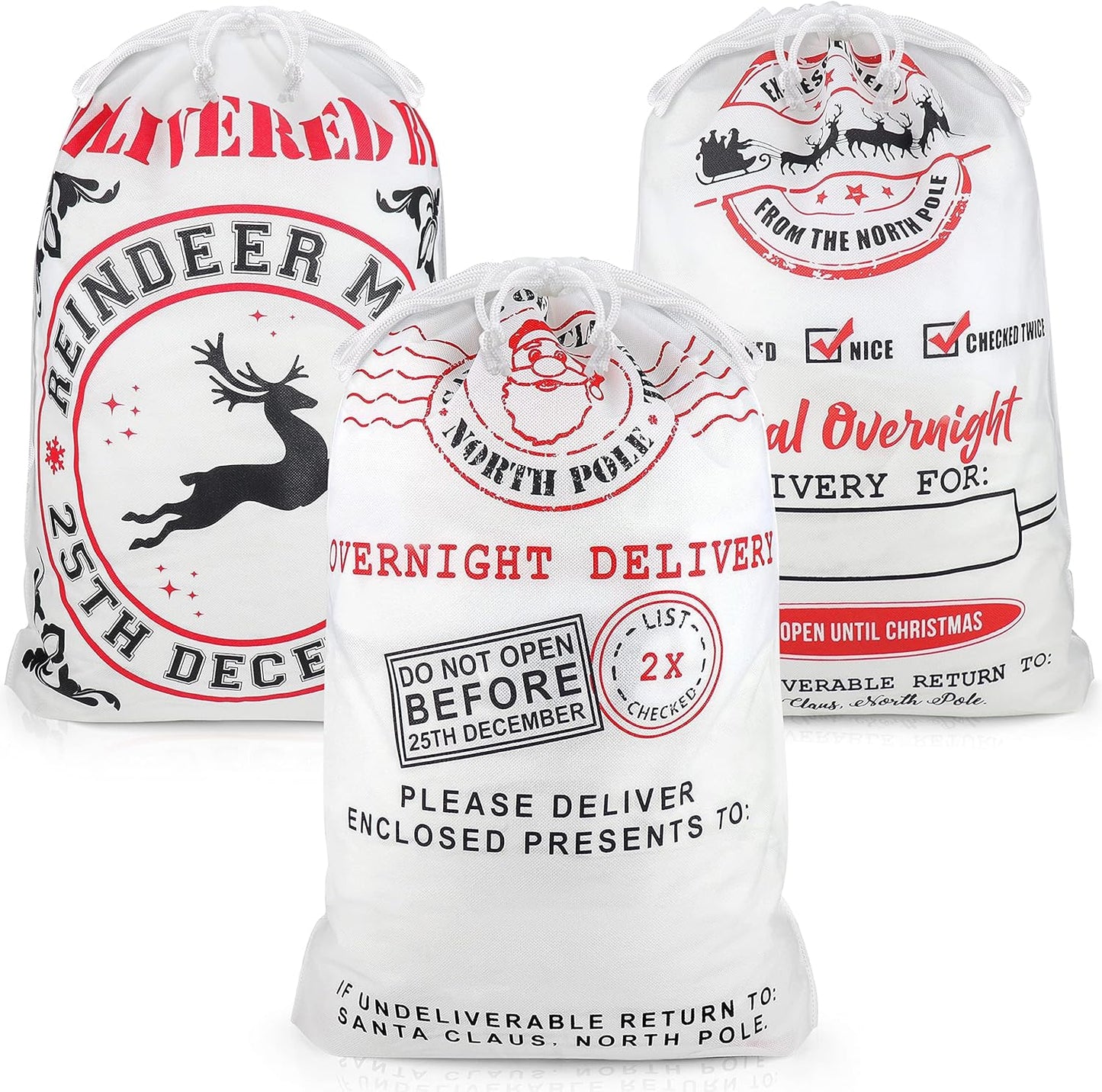 Gift Bag with Drawstring for Christmas (Pack of 6)