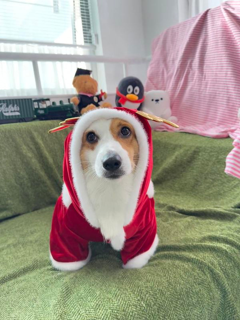 Soft Reindeer Pet Costume | Comfortable Christmas Holiday Outfit for Small, Medium, and Large Dogs & Cats