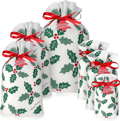 Gift Bag with Drawstring for Christmas (Pack of 6)